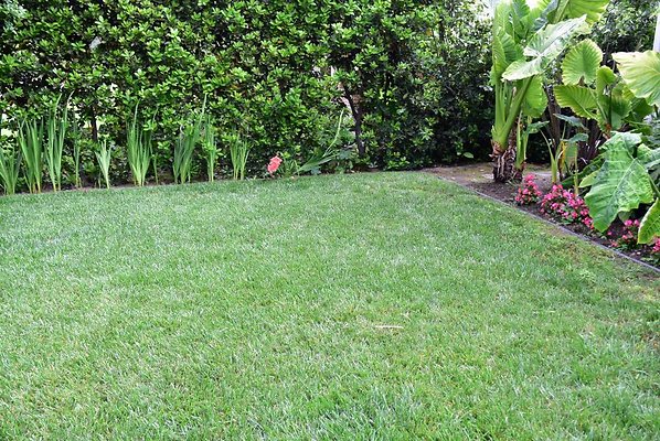 DSC 0902